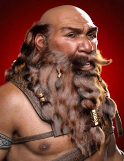 Dwarf Braided Hair and Beard for Genesis 9