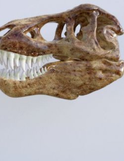 T-Rex Skull With Posable Jaw