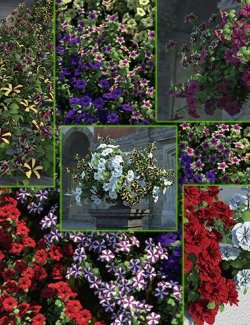 Cottage Garden Flowers Vol2 - Petunias Bundle