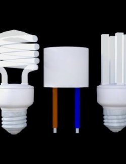 Compact Fluorescent Bulb