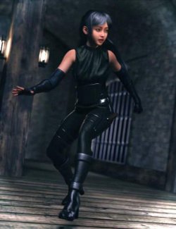 dForce Assassin Fighter Outfit for Genesis 9