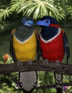 Songbird ReMix Trogons