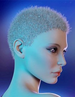 Koa Hair for Genesis 8 and 9