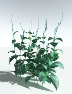 EVERYPlant Dog Mercury