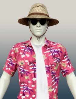 Everyday- Summer Vacation Outfit for G8M & G9