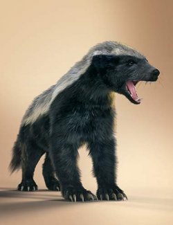 Honey Badger by AM