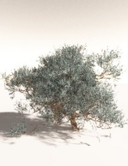 EVERYPlant Basin Sagebrush for Daz