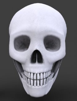 Photo Props: Morphing Skull