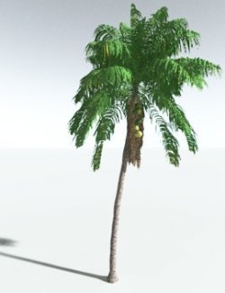 EVERYPlant Coconut Palm for Vue