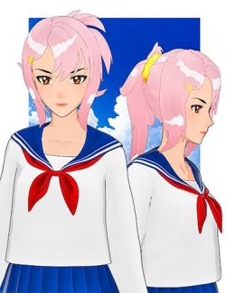 HS Toon Ponytail Hair for Genesis 9 Anime