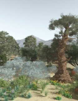 EVERYPlant US Great Basin Biome for Vue