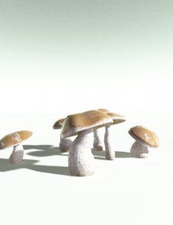 EVERYPlant King Bolete for Poser