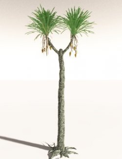 EVERYPlant Sigillaria Densifolia for Daz