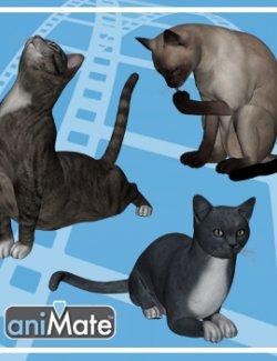 Animation for Daz3D House Cat