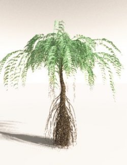 EVERYPlant Psaronius Simplex for Daz