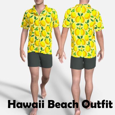 Click here to see preview images for "Hawaii Beach Outfit for Genesis 8 Male" Hawaii Beach Outfit for Genesis 8 Male