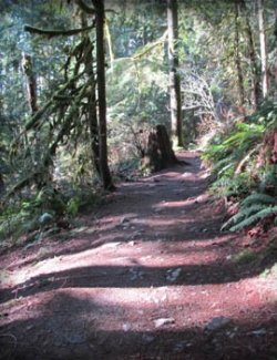 Mountain Trail