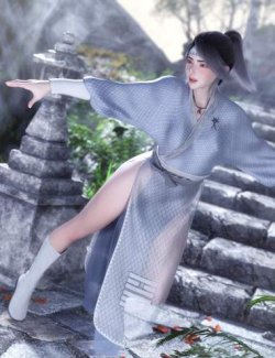 dForce Wuxia Outfit for Genesis 9