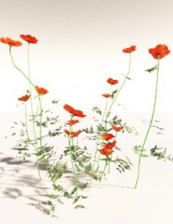 EVERYPlant Field Poppy for Daz