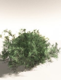 EVERYPlant Green Rabbitbrush for Daz