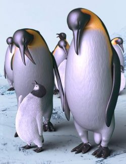 Emperor Penguins