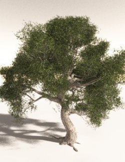 EVERYPlant Utah Juniper for Daz