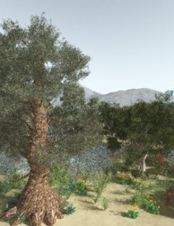 EVERYPlant US Great Basin Biome for Daz