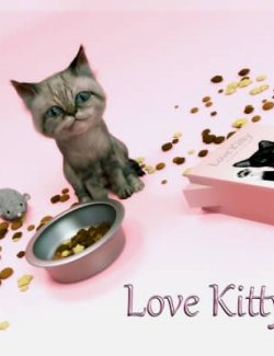 Love Kitty- Everything a Cat Loves