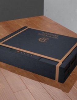 Biometric Pistol Safe