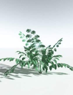 EVERYPlant King Fern for Vue