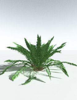 EVERYPlant Basket Fern for Vue