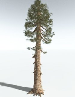 EVERYPlant Giant Redwood for Vue