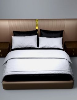 AQ3D Master Bed 71