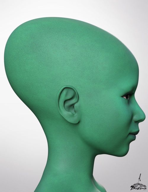 Click here to see preview images for "Head Morphs for Genesis 9" Head Morphs for Genesis 9