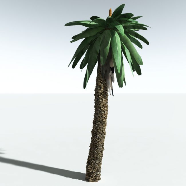 Click here to see preview images for "EVERYPlant Bjuvia Simplex for Vue" EVERYPlant Bjuvia Simplex for Vue