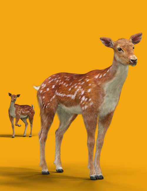Click here to see preview images for "Deer for Daz Horse 3" Deer for Daz Horse 3