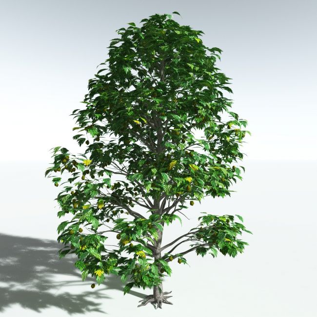 Click here to see preview images for "EVERYPlant Breadnut for Vue" EVERYPlant Breadnut for Vue