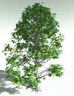 EVERYPlant Breadnut for Poser