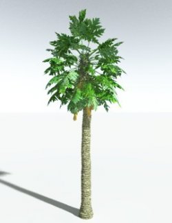 EVERYPlant Papaya for Vue