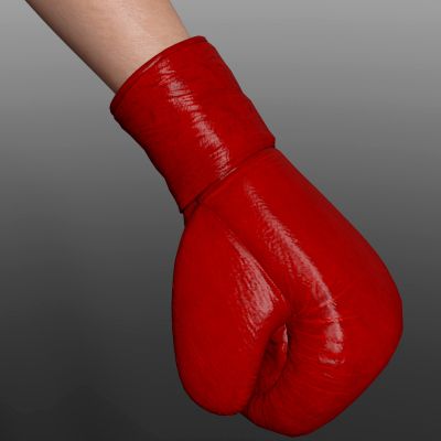 Click here to see preview images for "Lyko3D Brawling Boxing Gloves Genesis 8 M and F" Lyko3D Brawling Boxing Gloves Genesis 8 M and F
