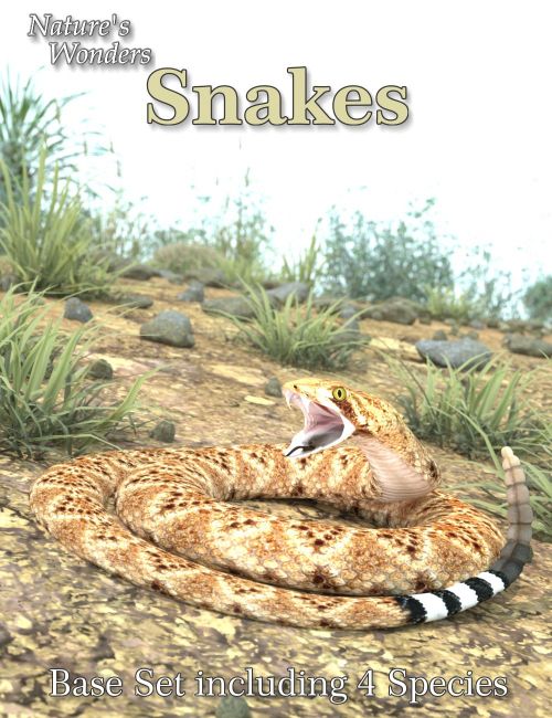 Click here to see preview images for "Nature's Wonders Snakes" Nature's Wonders Snakes