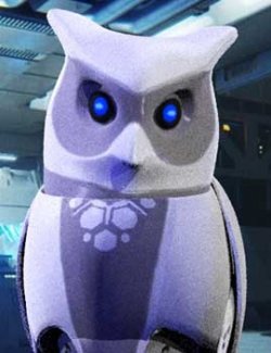 Owl Bot