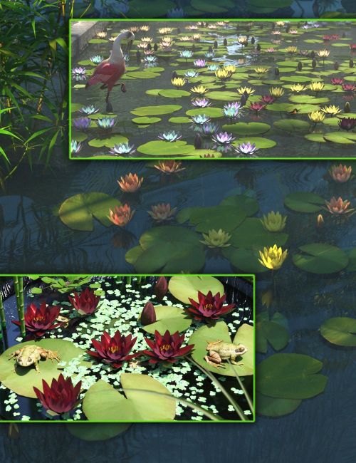 Click here to see preview images for "Water Lily" Water Lily
