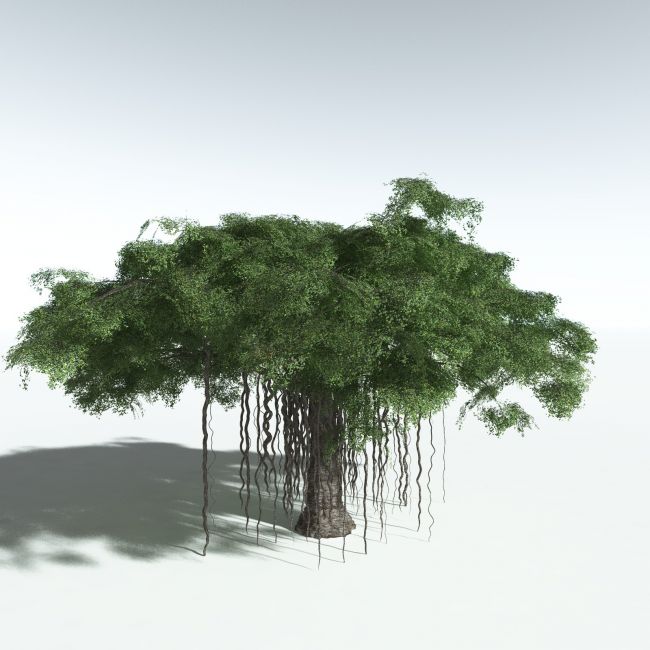 Click here to see preview images for "EVERYPlant Banyan Tree for Vue" EVERYPlant Banyan Tree for Vue