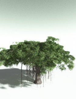 EVERYPlant Banyan Tree for Poser