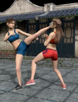 4 Matched Set Animations for Kickboxing Genesis 8-8.1