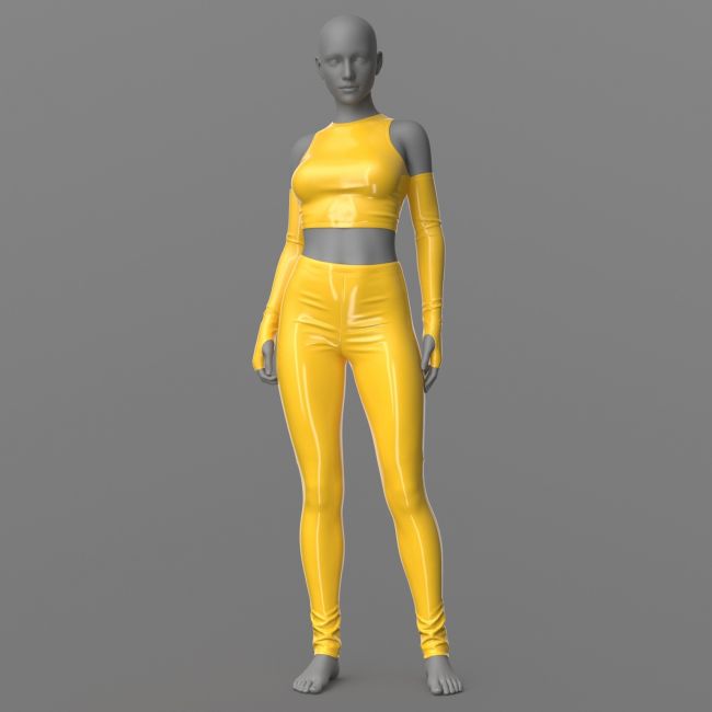 Click here to see preview images for "Pants Top and Armbands G8" Pants Top and Armbands G8