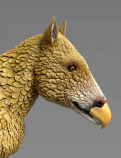 Oso Hippochera for Daz Horse 3