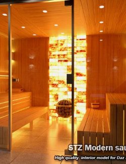 STZ Modern Sauna