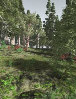 EVERYPlant Redwood Forest Biome for Vue